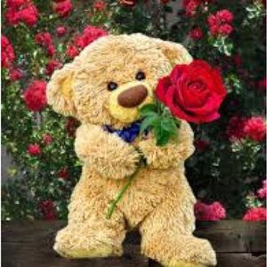 Meet your Posher, Lacosta